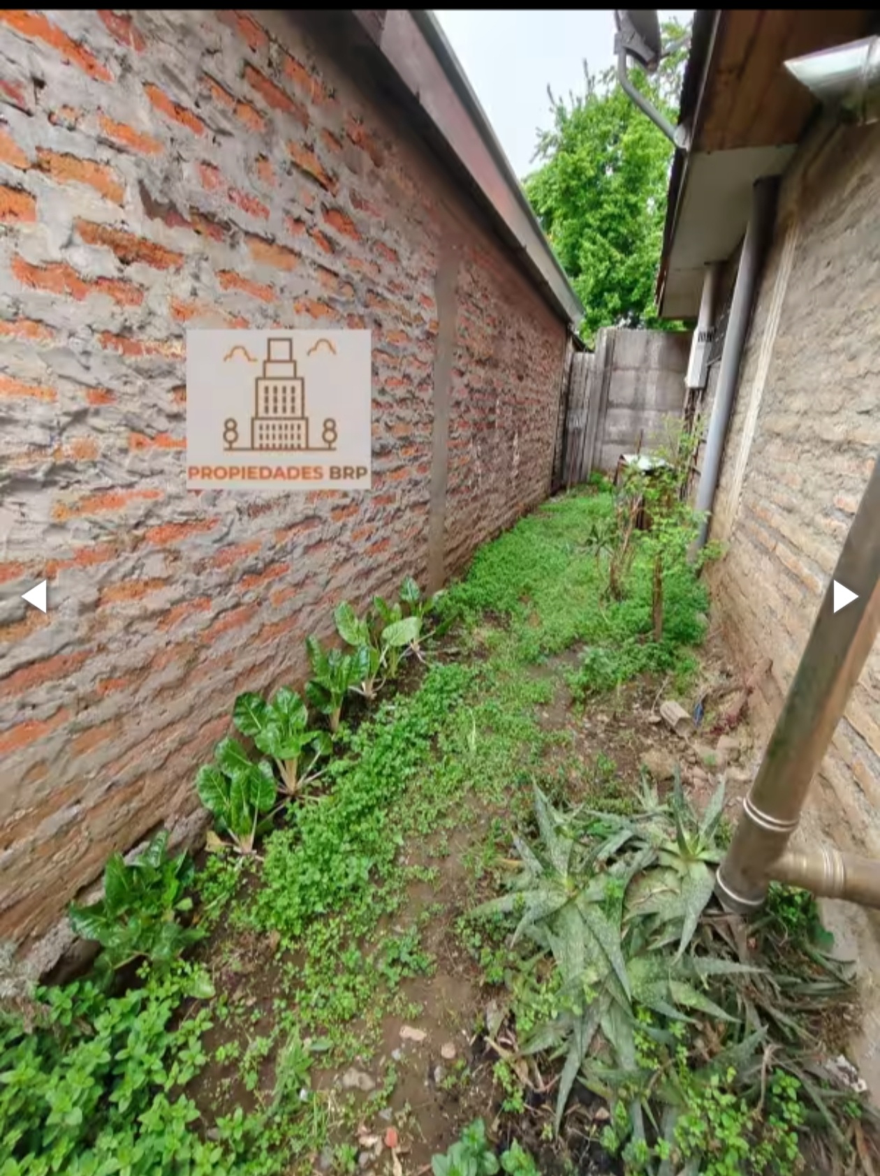 Screenshot_20250703_214525